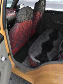 Lifan 320